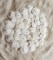 50 Pack Small Natural White Sand Dollars - Wedding - Sea Shell Craft 1 1/4" to 1 1/2" - Hand Picked and Professionally Packed
